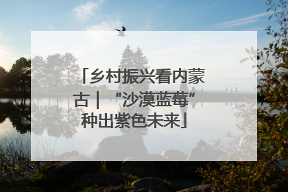 乡村振兴看内蒙古｜“沙漠蓝莓”种出紫色未来