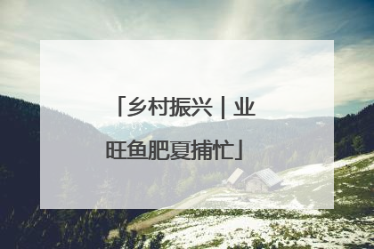 乡村振兴｜业旺鱼肥夏捕忙