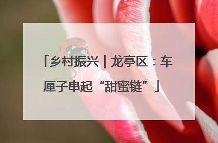乡村振兴｜龙亭区：车厘子串起“甜蜜链”