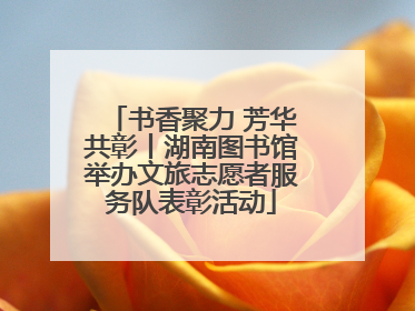 书香聚力 芳华共彰丨湖南图书馆举办文旅志愿者服务队表彰活动