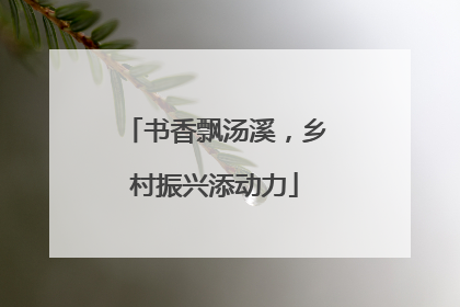 书香飘汤溪，乡村振兴添动力