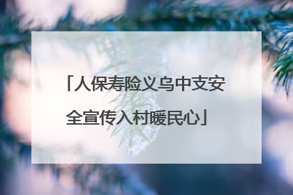 人保寿险义乌中支安全宣传入村暖民心