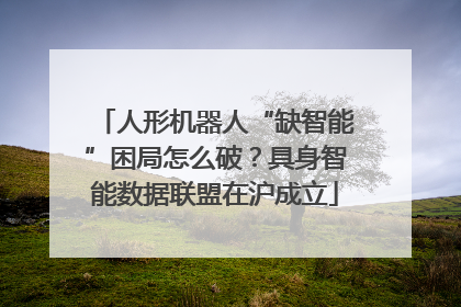 人形机器人“缺智能”困局怎么破？具身智能数据联盟在沪成立