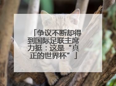争议不断却得到国际足联主席力挺：这是“真正的世界杯”