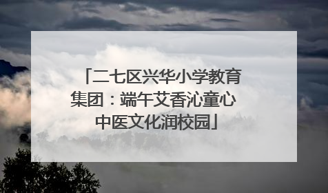 二七区兴华小学教育集团：端午艾香沁童心 中医文化润校园