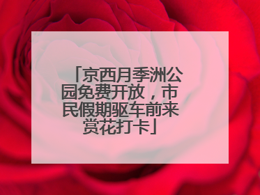 京西月季洲公园免费开放，市民假期驱车前来赏花打卡