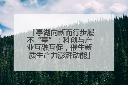 亭湖向新而行步履不“亭”：科创与产业互融互促，催生新质生产力澎湃动能