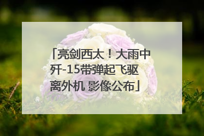 亮剑西太！大雨中歼-15带弹起飞驱离外机 影像公布