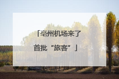 亳州机场来了首批“旅客”