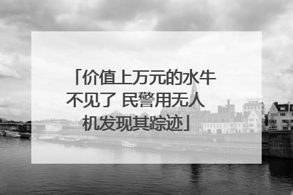 价值上万元的水牛不见了 民警用无人机发现其踪迹