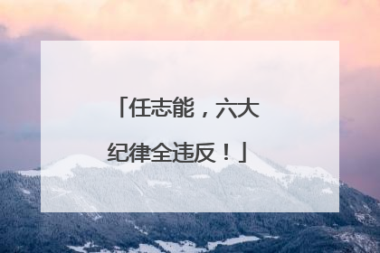 任志能，六大纪律全违反！
