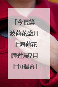 今夏第一波荷花盛开 上海荷花睡莲展7月上旬揭幕