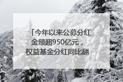 今年以来公募分红金额超950亿元，权益基金分红同比翻倍｜招财猫