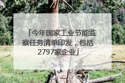 今年国家工业节能监察任务清单印发，包括2797家企业