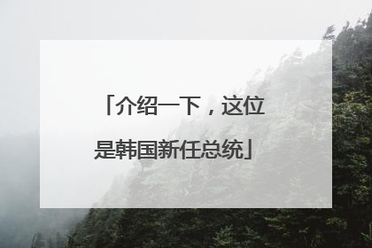 介绍一下，这位是韩国新任总统