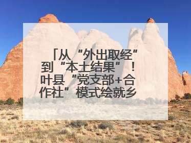 从“外出取经”到“本土结果”！叶县“党支部+合作社”模式绘就乡村振兴新图景