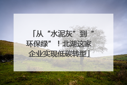 从“水泥灰”到“环保绿”！北湖这家企业实现低碳转型