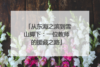 从东海之滨到雪山脚下：一位教师的援藏之路