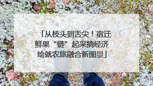 从枝头到舌尖！宿迁鲜果“链”起采摘经济绘就农旅融合新图景