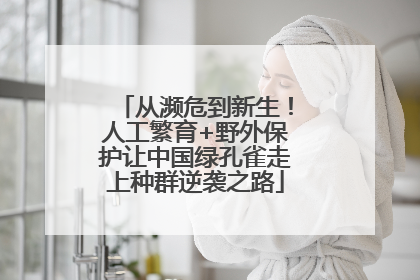 从濒危到新生！人工繁育+野外保护让中国绿孔雀走上种群逆袭之路