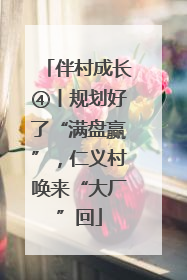 伴村成长④丨规划好了“满盘赢”，仁义村唤来“大厂”回