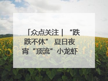 众点关注｜“跌跌不休” 夏日夜宵“顶流”小龙虾价格腰斩 东营人的快乐来了