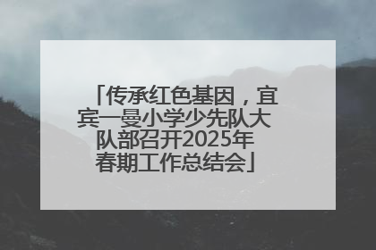 传承红色基因，宜宾一曼小学少先队大队部召开2025年春期工作总结会