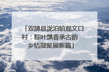 双牌县泷泊镇观文口村：粽叶飘香承古韵 乡情凝聚展新篇