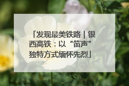 发现最美铁路｜银西高铁：以“笛声”独特方式缅怀先烈