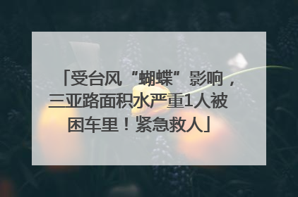受台风“蝴蝶”影响，三亚路面积水严重1人被困车里！紧急救人