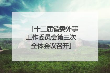十三届省委外事工作委员会第三次全体会议召开
