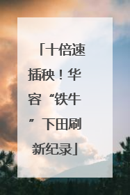 十倍速插秧！华容“铁牛”下田刷新纪录