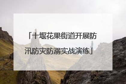 十堰花果街道开展防汛防灾防溺实战演练