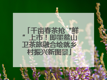 千亩春茶抢“鲜”上市！即墨鳌山卫茶旅融合绘就乡村振兴新图景