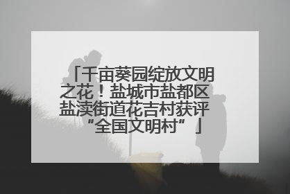千亩葵园绽放文明之花！盐城市盐都区盐渎街道花吉村获评“全国文明村”