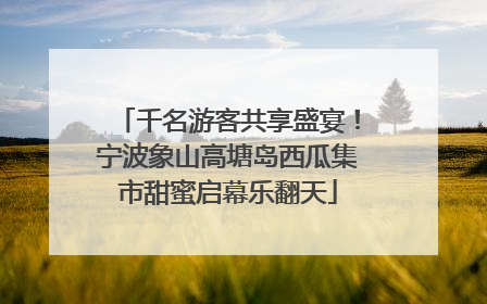 千名游客共享盛宴！宁波象山高塘岛西瓜集市甜蜜启幕乐翻天