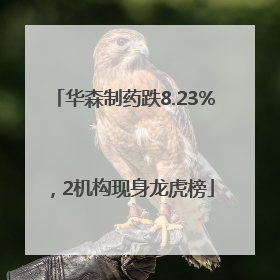 华森制药跌8.23%，2机构现身龙虎榜