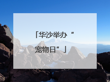 华沙举办“宠物日”