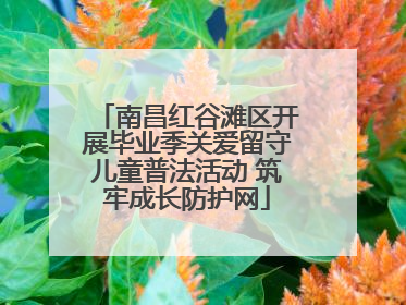 南昌红谷滩区开展毕业季关爱留守儿童普法活动 筑牢成长防护网
