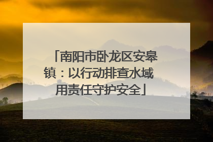南阳市卧龙区安皋镇：以行动排查水域 用责任守护安全