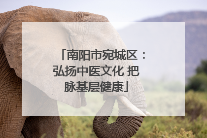 南阳市宛城区：弘扬中医文化 把脉基层健康