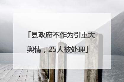 县政府不作为引重大舆情，25人被处理