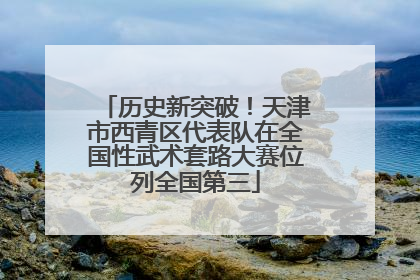 历史新突破！天津市西青区代表队在全国性武术套路大赛位列全国第三