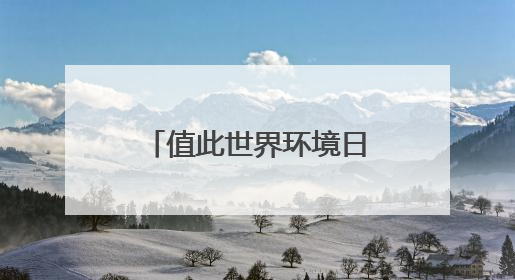值此世界环境日之际，请查收这封来自中国“国宝”大熊猫的邀请函