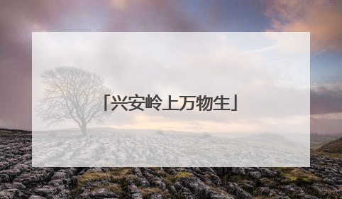 兴安岭上万物生