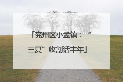 兖州区小孟镇：“三夏”收割话丰年