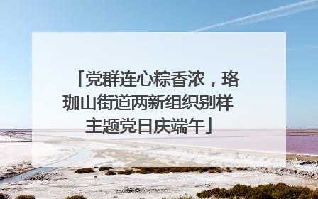 党群连心粽香浓，珞珈山街道两新组织别样主题党日庆端午