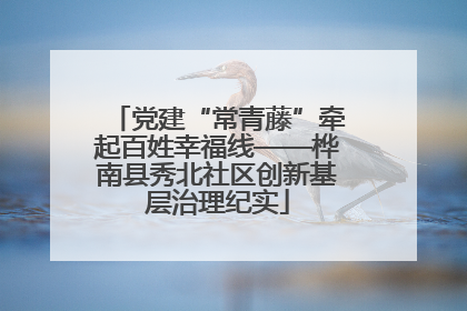 党建“常青藤”牵起百姓幸福线——桦南县秀北社区创新基层治理纪实