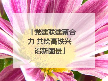 党建联建聚合力 共绘高铁兴诏新图景