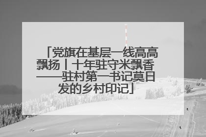 党旗在基层一线高高飘扬丨十年驻守米飘香——驻村第一书记莫日发的乡村印记